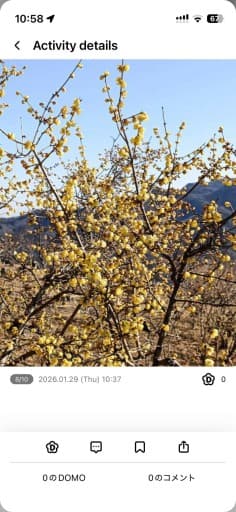 【1人車ok、現地集合もok】2/8 🌼蝋梅と🍛のゆる登山