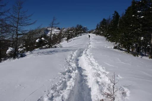 雲取山1泊2日テント泊