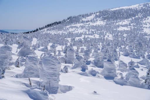 【都内発】【一旦、募集停止】2/11（祝）西吾妻