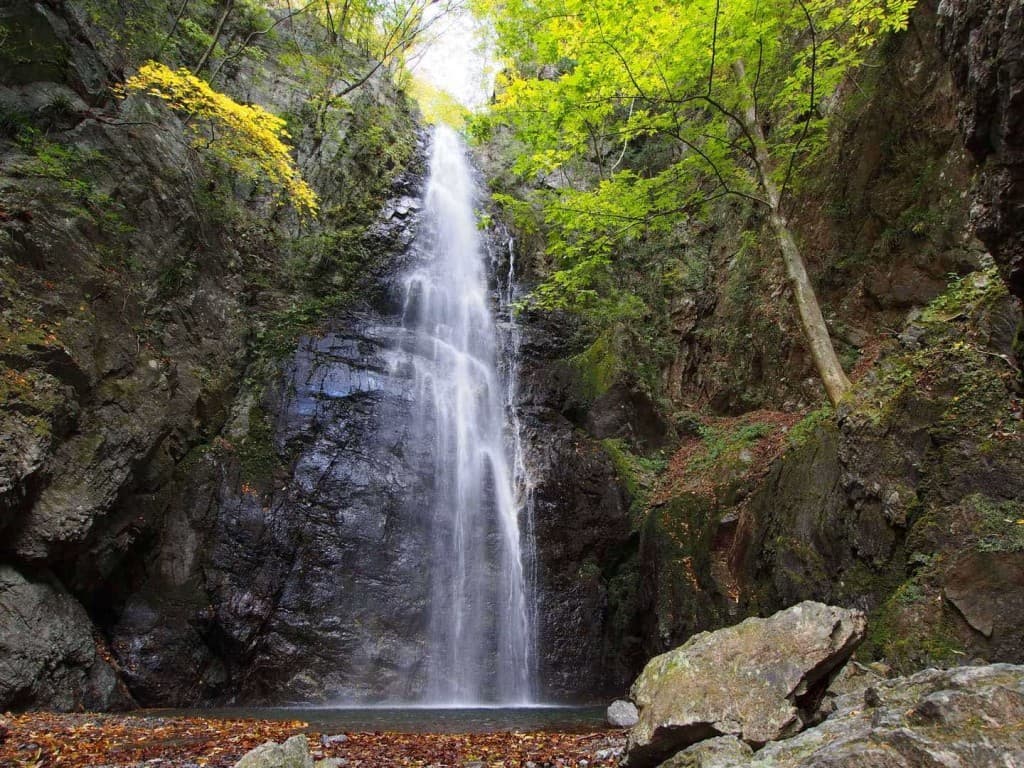 川苔山登りましょう！20代の方募集してます！参考画像:0