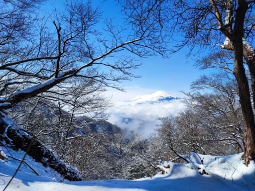 雪の塔ノ岳へ🏔️参考画像:2