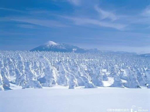 【急募】【都内発】2/14-15 八幡平と玉簾の滝