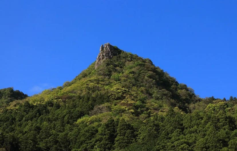 《締切》2/15(日)伊予ヶ岳&富山参考画像:0