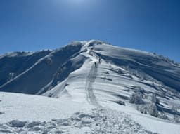 2/15(日)荒島岳⛰️【1名募集】