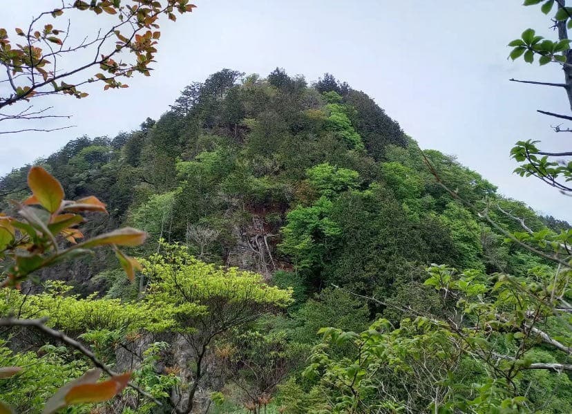 【締切】2/22(日)石裂山+ツルヤ参考画像:0