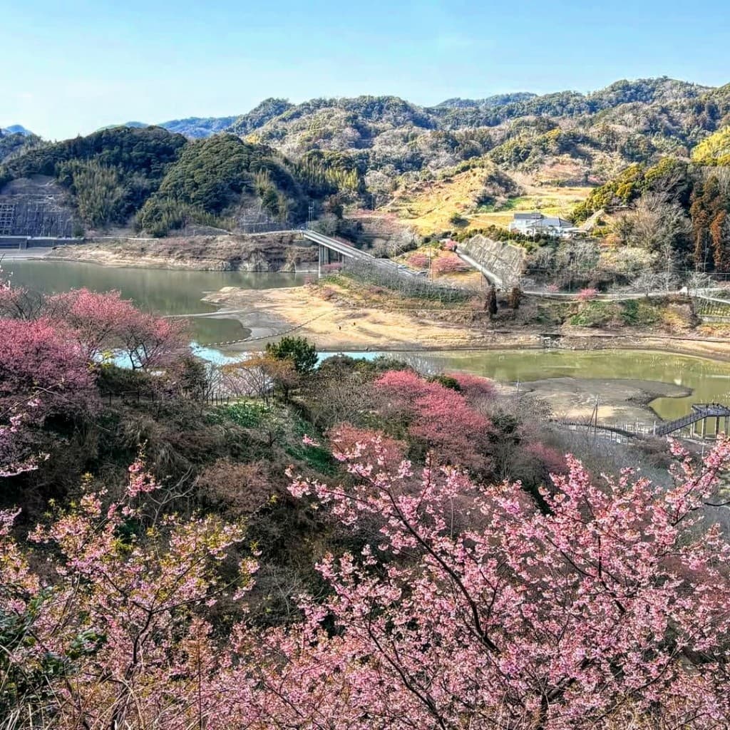 【20時締切】2/21(土)関東百名山 高宕山&頼朝桜のお花見【新宿発】参考画像:0