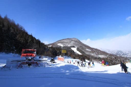 3/1(日)三峰山、吾妻耶山  (関東百)(前夜埼玉発)