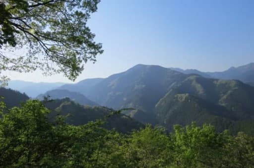 3/7(土) 浅間嶺縦走参考画像:1