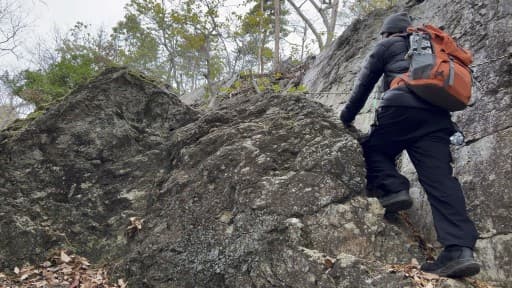 3月29日（日）観光地嵐山を登りませんか？参考画像:1