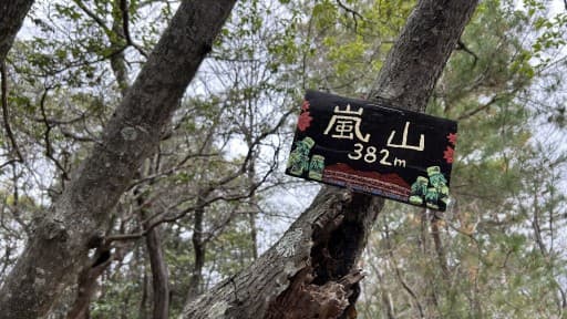 3月29日（日）観光地嵐山を登りませんか？参考画像:2