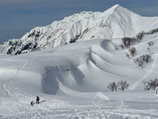 【都内発】3/28 阿寺山