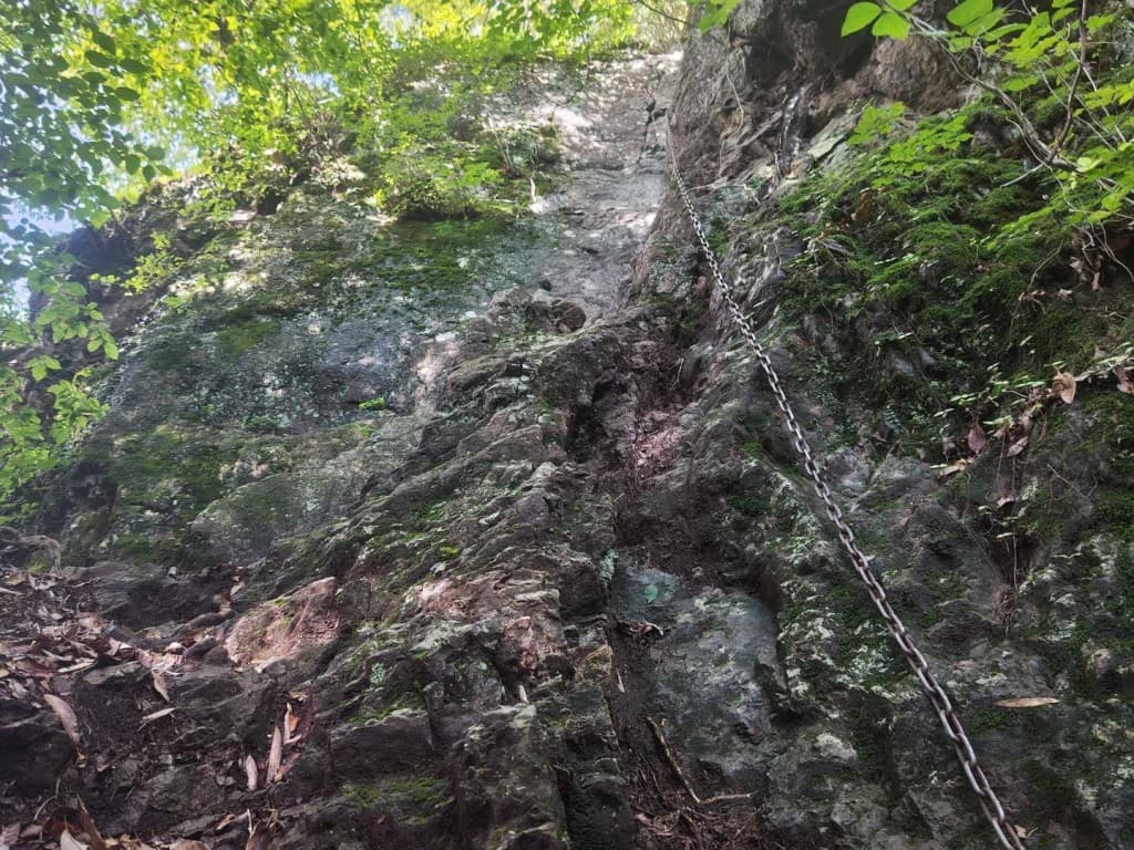 【池袋発】4/11(土)秩父の四阿屋山参考画像:1