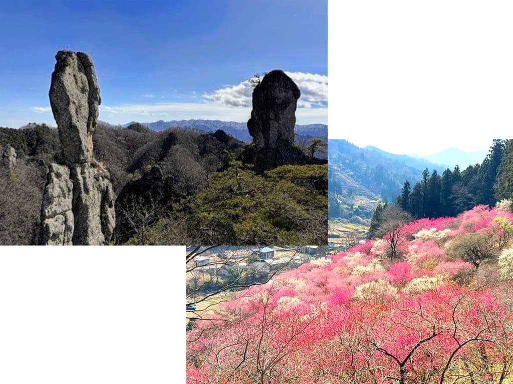 【あと1名】3/15(日)西上州の奇岩じぃとばぁ＆あぶだ福寿草の里 同行者募集【所沢･東所沢発】参考画像:0