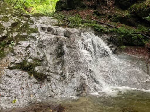 3/29(日)沢登り(初心者OK)マスキ嵐沢