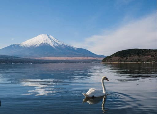 4/25（土）〜26（日） 登山・トレラン・カヤック・釣り・キャンプ他【山中湖】