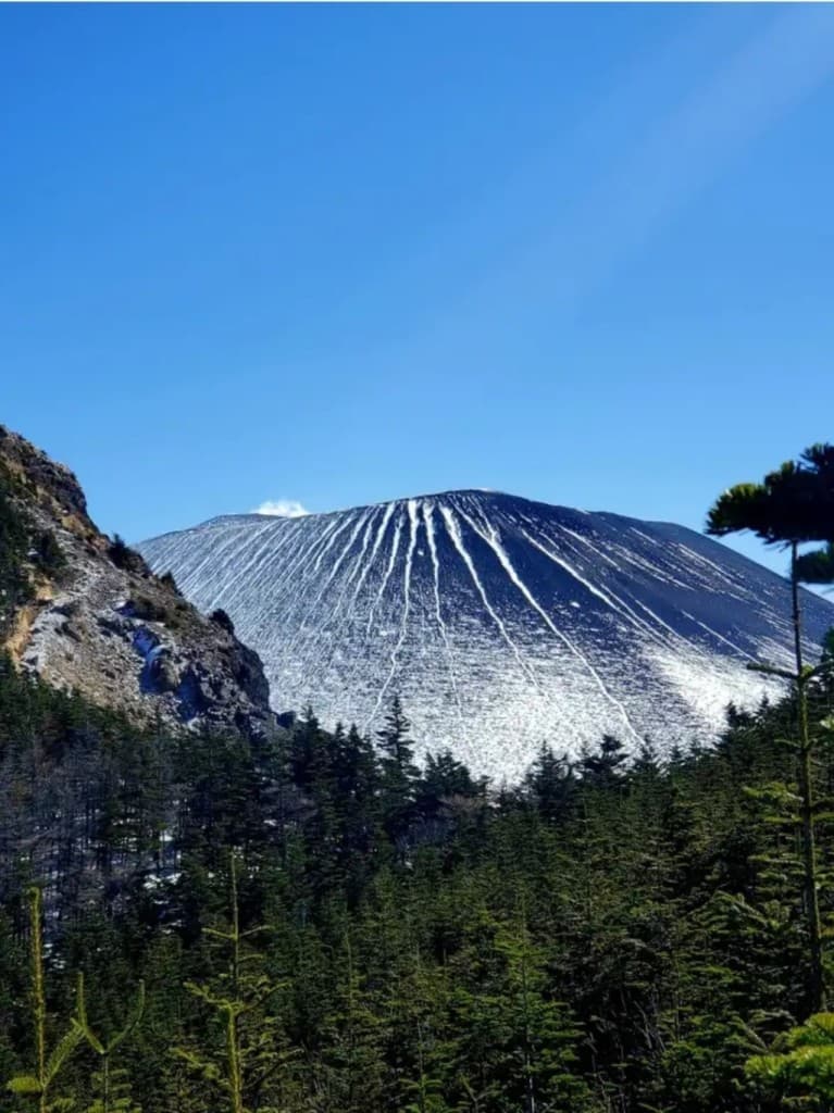 【相乗り】3/15(日)高峰高原（黒斑山・高峰山）参考画像:0