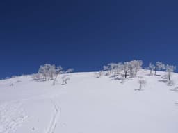 【都内発】　3/28 阿寺山