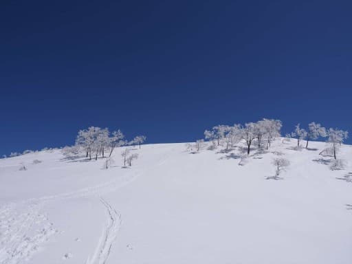 【都内発】　3/28 阿寺山