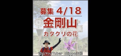 【大阪】4/18(土)金剛山🪻カタクリの花