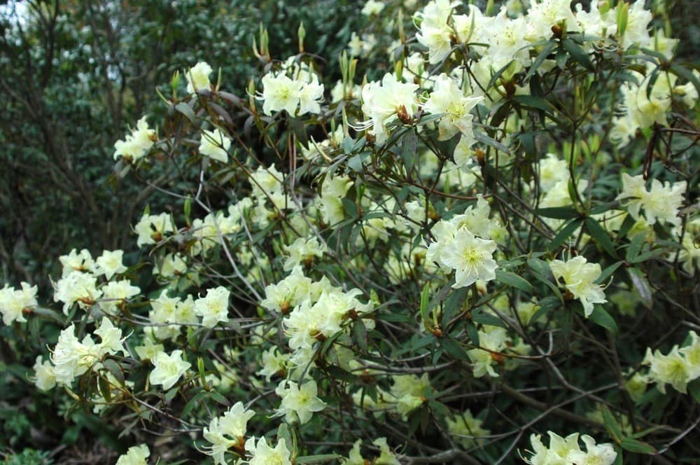 4月12日(日)向山周回！体験山行参考画像:0