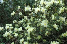 4月12日(日)向山周回！体験山行