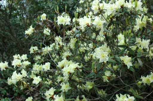 4月12日(日)向山周回！体験山行