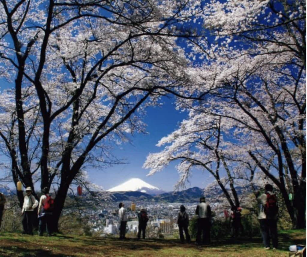 弘法山参考画像:0