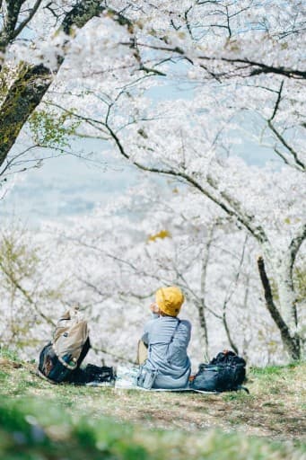 安曇野 桜ハイキング｜光城山〜長峰山 日帰り