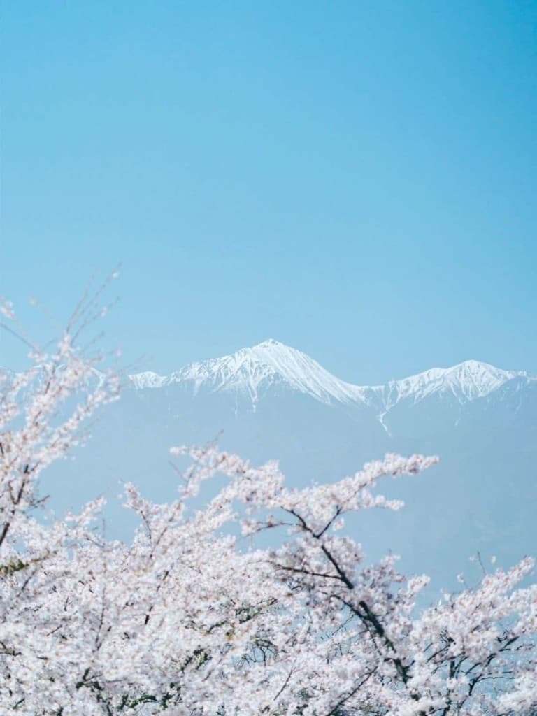 安曇野 桜ハイキング｜光城山〜長峰山参考画像:1