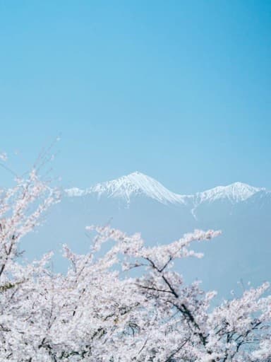 安曇野 桜ハイキング｜光城山〜長峰山参考画像:1