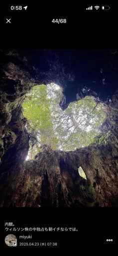 7月23～25日　屋久島参考画像:2