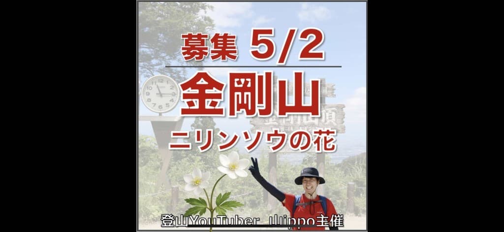 【大阪】5/2(土)金剛山⛰️ニリンソウの花参考画像:0