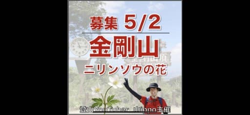 【大阪】5/2(土)金剛山⛰️ニリンソウの花