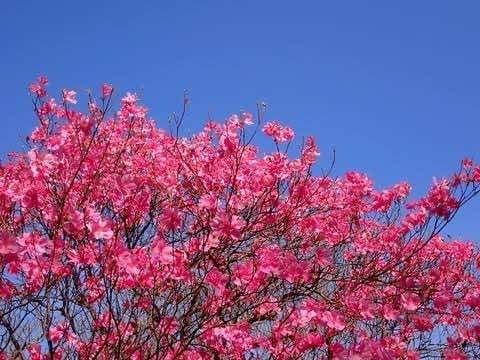 4/29(水)ミツモチ山