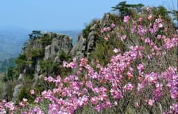 4/18(土)二ツ箭山【募集1名】
