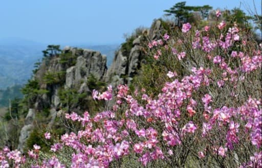 4/18(土)二ツ箭山【募集1名】