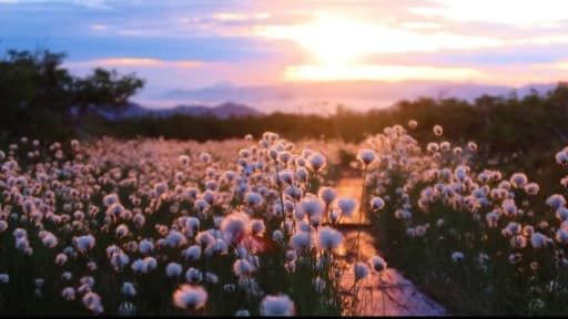 6/13(土)田代山・帝釈山【花百・二百】