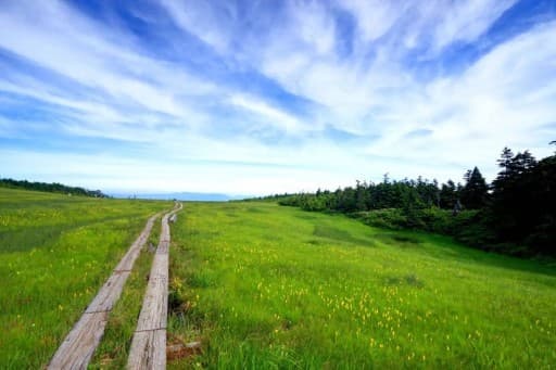 6/13(土)田代山・帝釈山【花百・二百】参考画像:1