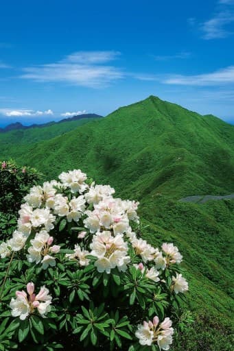 宮之浦岳登山&屋久島観光