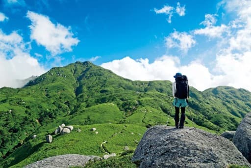 宮之浦岳登山&屋久島観光参考画像:1