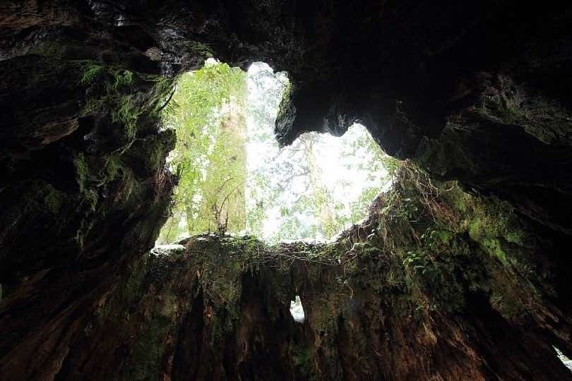 宮之浦岳登山&屋久島観光参考画像:2