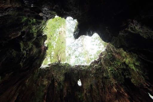 宮之浦岳登山&屋久島観光参考画像:2