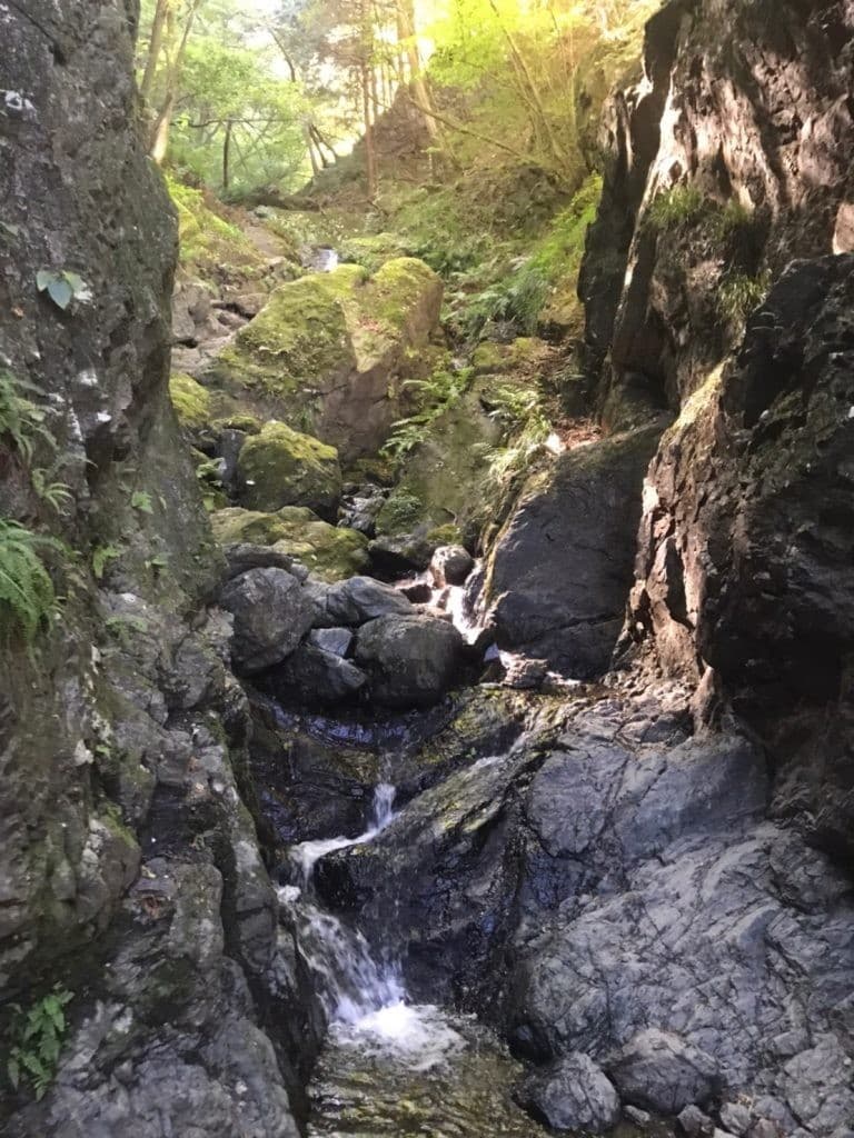 満席御礼【初心者歓迎】棒ノ折山（棒ノ峰）参考画像:1