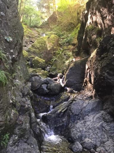 【初心者歓迎】棒ノ折山（棒ノ峰）参考画像:1