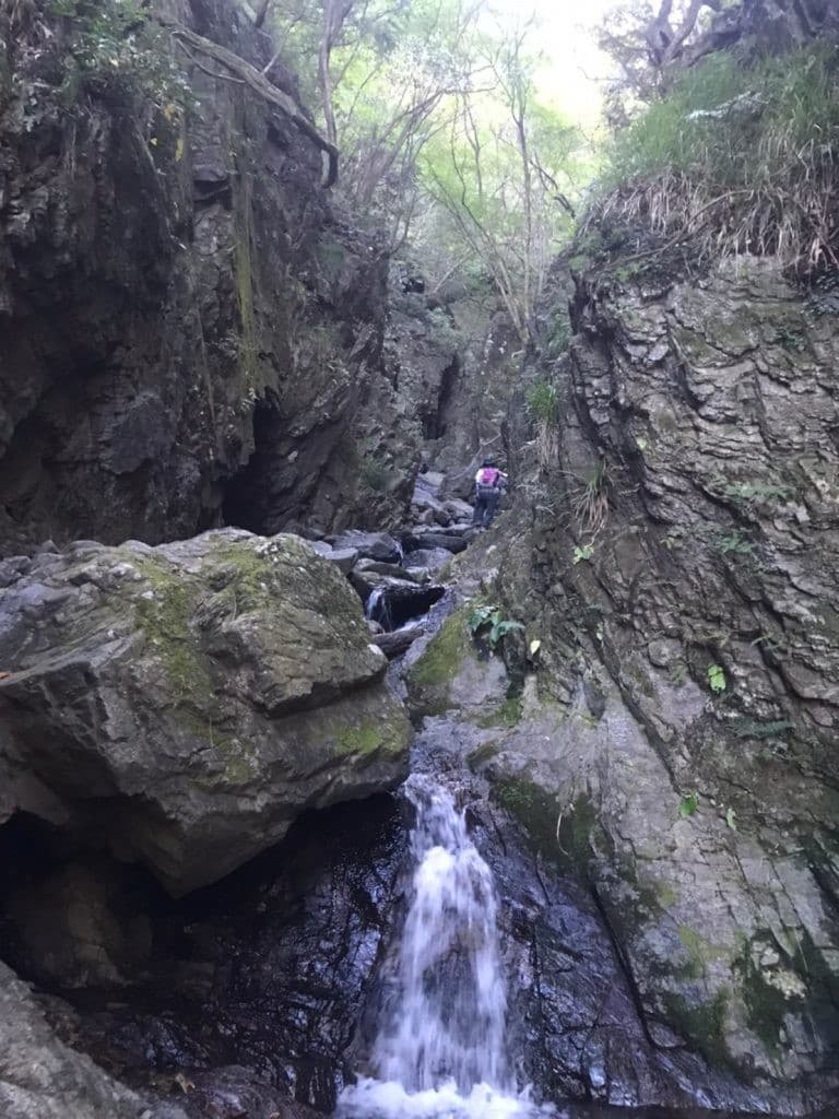 満席御礼【初心者歓迎】棒ノ折山（棒ノ峰）参考画像:2