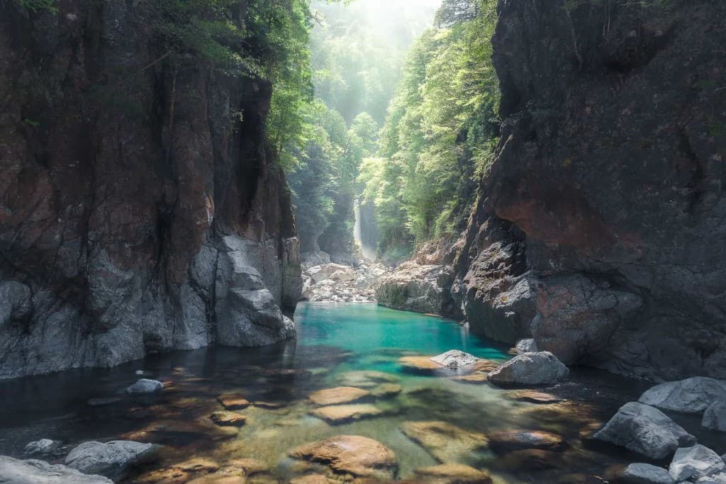 4月29日（水）関西の秘境　大杉谷登山口までのタクシー　あと3名参考画像:0
