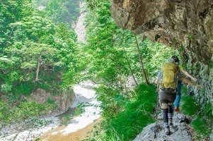 4月29日（水）関西の秘境　大杉谷登山口までのタクシー　あと3名参考画像:1