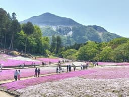5/5（火）羊山公園(芝桜の丘)芝桜まつりと琴平丘陵