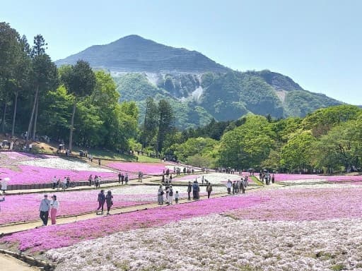 5/5（火）羊山公園(芝桜の丘)芝桜まつりと琴平丘陵