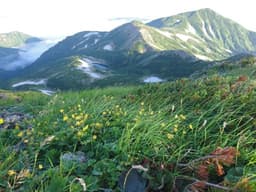 白馬岳　猿倉〜栂池　縦走